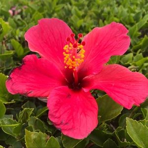 Meet your Posher, Terri